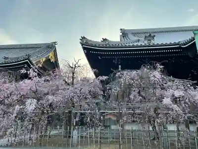佛光寺(京都府)