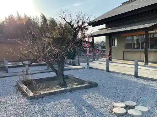 上里菅原神社の庭園