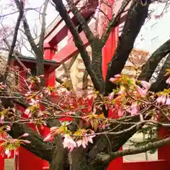 彌彦神社　(伊夜日子神社)の自然