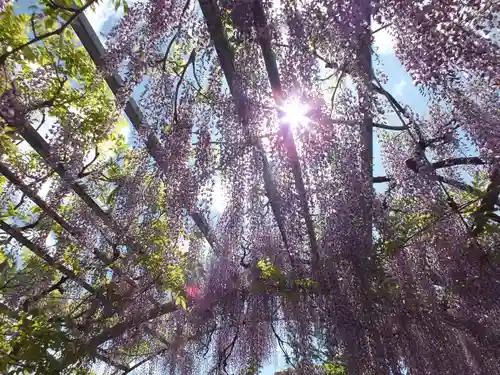 三大神社の自然