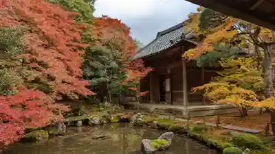 蓮華寺（洛北蓮華寺）(京都府)