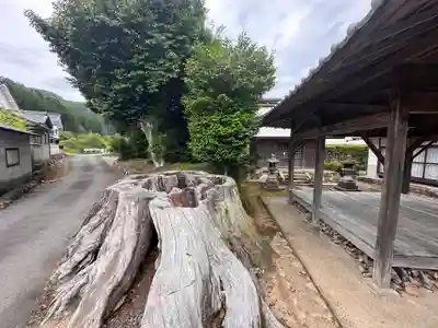 吉備津神社(京都府)