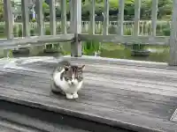 太宰府天満宮の{uncategorized: "未分類", other: "その他", undefined: "問題あり", building: "その他建物", grave: "お墓", sacred_gate: "鳥居", guardian: "狛犬", statue: "像", buddha: "仏像", history: "歴史", nature: "自然", garden: "庭園", animal: "動物", pagoda: "塔", temizu: "手水舎", mountain_gate: "山門・神門", sanctuary: "本殿・本堂", subordinate: "末社・摂社", art: "芸術", scenery: "景色", jizo: "地蔵", ema: "絵馬", goshuin: "御朱印", omikuji: "おみくじ", items: "授与品その他", amulet: "お守り", goshuincho: "御朱印帳", eats: "食事", festival: "お祭り", votive_dance: "神楽", shichigosan: "七五三参", wedding: "結婚式", experience: "体験その他", initially: "初詣", around: "周辺", anti_infection: "感染症対策"}