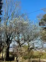 意賀美神社(大阪府)