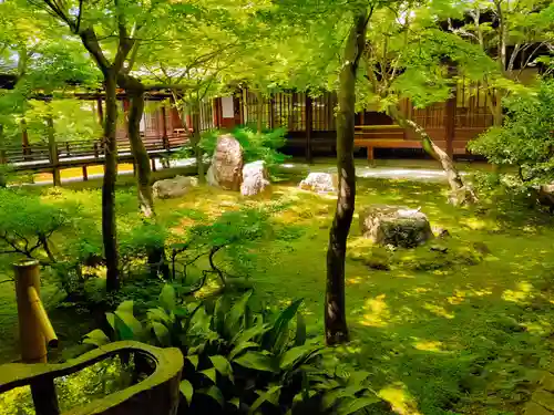 建仁寺（建仁禅寺）(京都府)