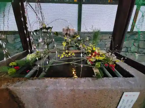 興聖寺（興聖寶林禅寺）(京都府)