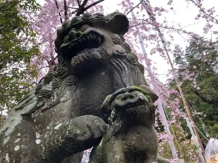 豊景神社の狛犬