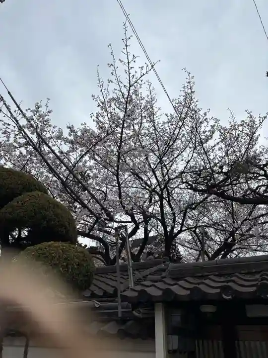 妙琳坊(大阪府)