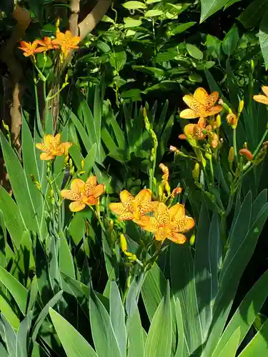 沙沙貴神社(滋賀県)