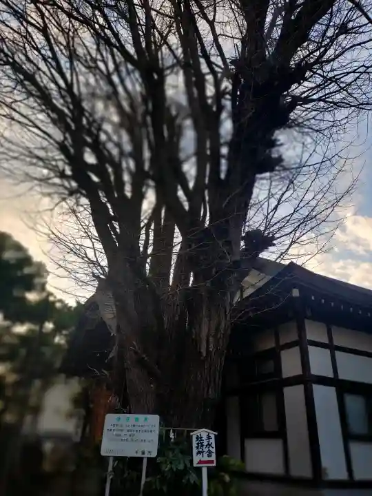 登渡神社の{uncategorized: "未分類", other: "その他", undefined: "問題あり", building: "その他建物", grave: "お墓", sacred_gate: "鳥居", guardian: "狛犬", statue: "像", buddha: "仏像", history: "歴史", nature: "自然", garden: "庭園", animal: "動物", pagoda: "塔", temizu: "手水舎", mountain_gate: "山門・神門", sanctuary: "本殿・本堂", subordinate: "末社・摂社", art: "芸術", scenery: "景色", jizo: "地蔵", ema: "絵馬", goshuin: "御朱印", omikuji: "おみくじ", items: "授与品その他", amulet: "お守り", goshuincho: "御朱印帳", eats: "食事", festival: "お祭り", votive_dance: "神楽", shichigosan: "七五三参", wedding: "結婚式", experience: "体験その他", initially: "初詣", around: "周辺", anti_infection: "感染症対策"}