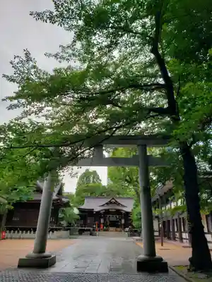 熊野神社の鳥居