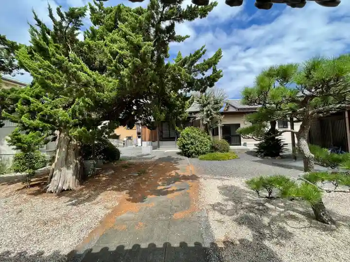 宗休寺のその他建物