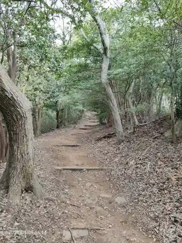 伊豆山神社の自然