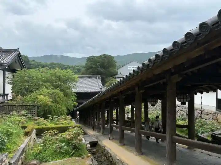 長谷寺(奈良県)