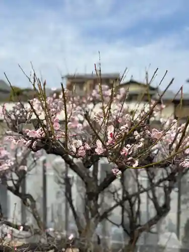 天神社(兵庫県)