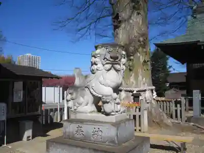 守谷総鎮守 八坂神社(茨城県)
