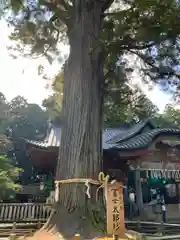 北口本宮冨士浅間神社(山梨県)