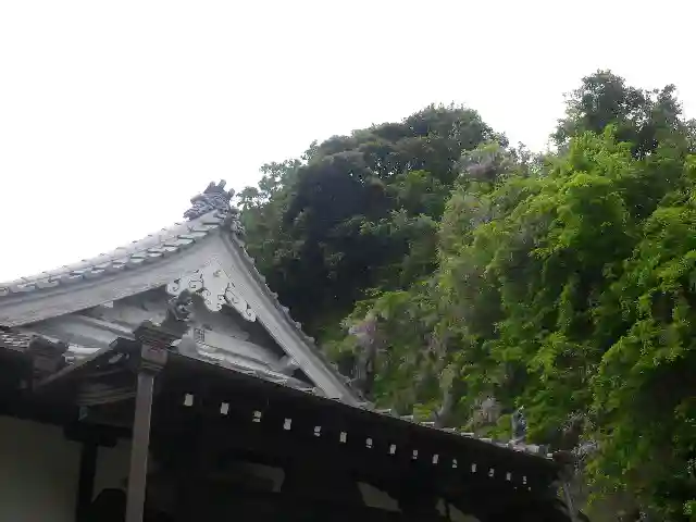 大寳寺の本殿・本堂