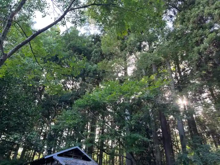 大宮温泉神社(栃木県)