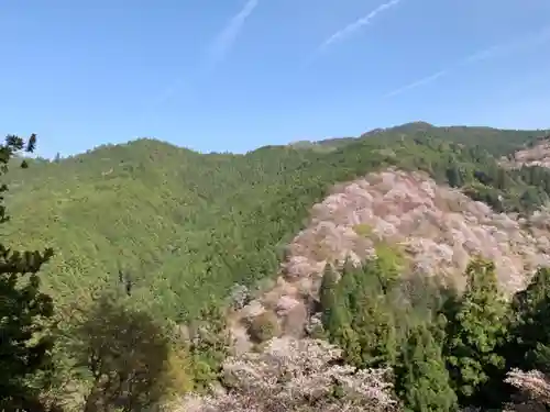 吉水神社の景色