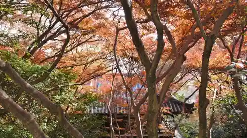 観音寺（山崎聖天）の本殿