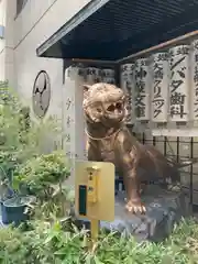 少彦名神社の狛犬