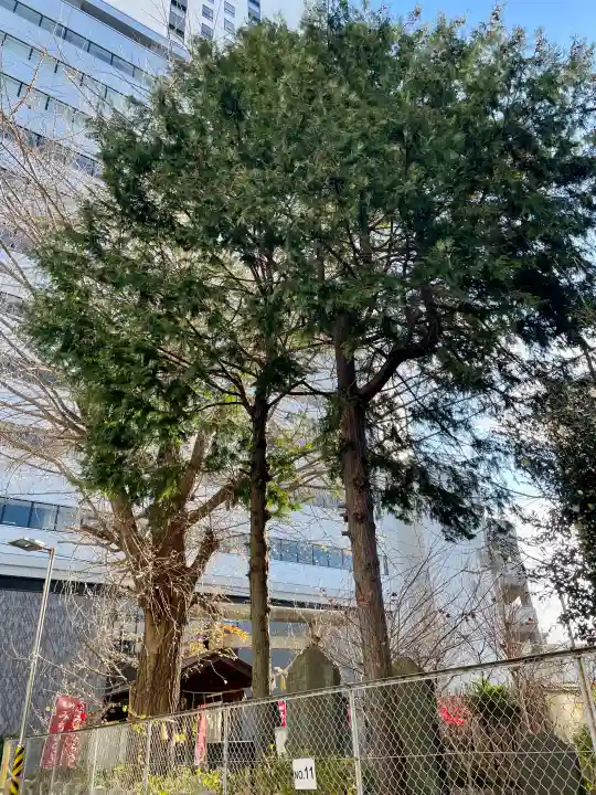 庚申神社の{uncategorized: "未分類", other: "その他", undefined: "問題あり", building: "その他建物", grave: "お墓", sacred_gate: "鳥居", guardian: "狛犬", statue: "像", buddha: "仏像", history: "歴史", nature: "自然", garden: "庭園", animal: "動物", pagoda: "塔", temizu: "手水舎", mountain_gate: "山門・神門", sanctuary: "本殿・本堂", subordinate: "末社・摂社", art: "芸術", scenery: "景色", jizo: "地蔵", ema: "絵馬", goshuin: "御朱印", omikuji: "おみくじ", items: "授与品その他", amulet: "お守り", goshuincho: "御朱印帳", eats: "食事", festival: "お祭り", votive_dance: "神楽", shichigosan: "七五三参", wedding: "結婚式", experience: "体験その他", initially: "初詣", around: "周辺", anti_infection: "感染症対策"}