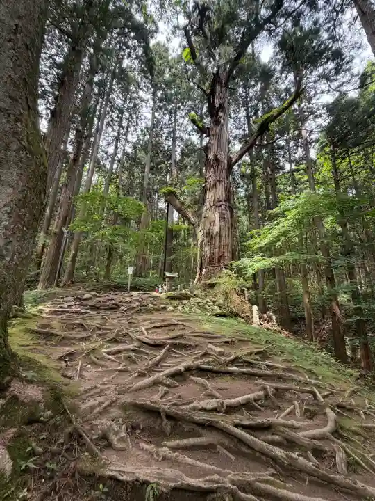 志和稲荷神社(岩手県)