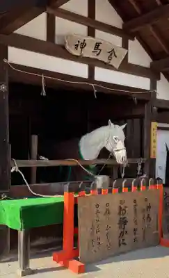 賀茂別雷神社（上賀茂神社）(京都府)
