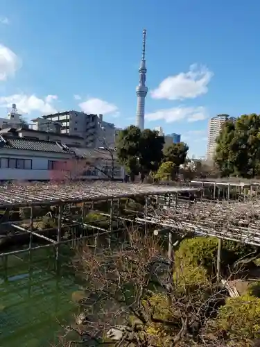 亀戸天神社の庭園