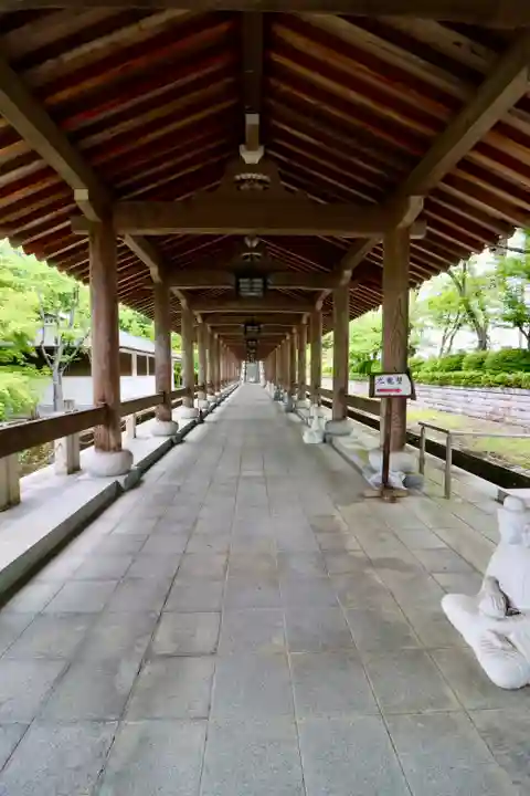 清大寺(越前大仏)(福井県)