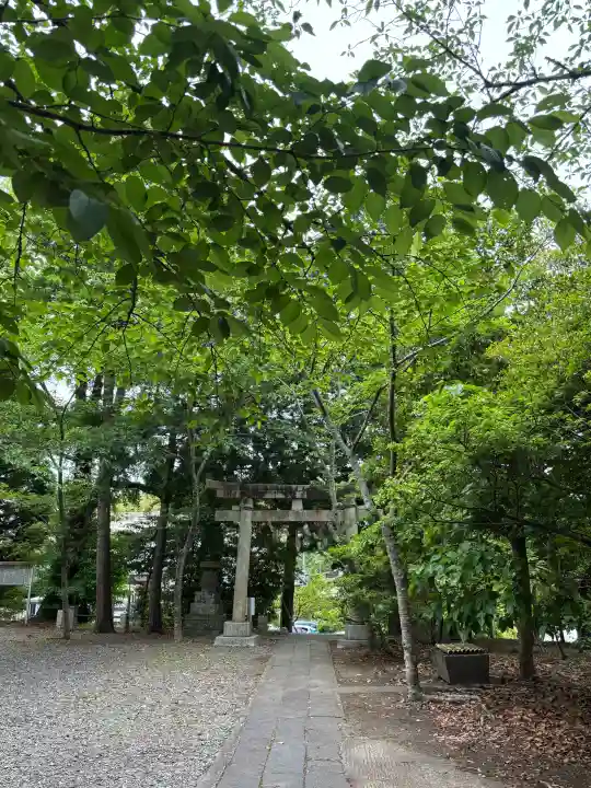 玉前神社の{uncategorized: "未分類", other: "その他", undefined: "問題あり", building: "その他建物", grave: "お墓", sacred_gate: "鳥居", guardian: "狛犬", statue: "像", buddha: "仏像", history: "歴史", nature: "自然", garden: "庭園", animal: "動物", pagoda: "塔", temizu: "手水舎", mountain_gate: "山門・神門", sanctuary: "本殿・本堂", subordinate: "末社・摂社", art: "芸術", scenery: "景色", jizo: "地蔵", ema: "絵馬", goshuin: "御朱印", omikuji: "おみくじ", items: "授与品その他", amulet: "お守り", goshuincho: "御朱印帳", eats: "食事", festival: "お祭り", votive_dance: "神楽", shichigosan: "七五三参", wedding: "結婚式", experience: "体験その他", initially: "初詣", around: "周辺", anti_infection: "感染症対策"}