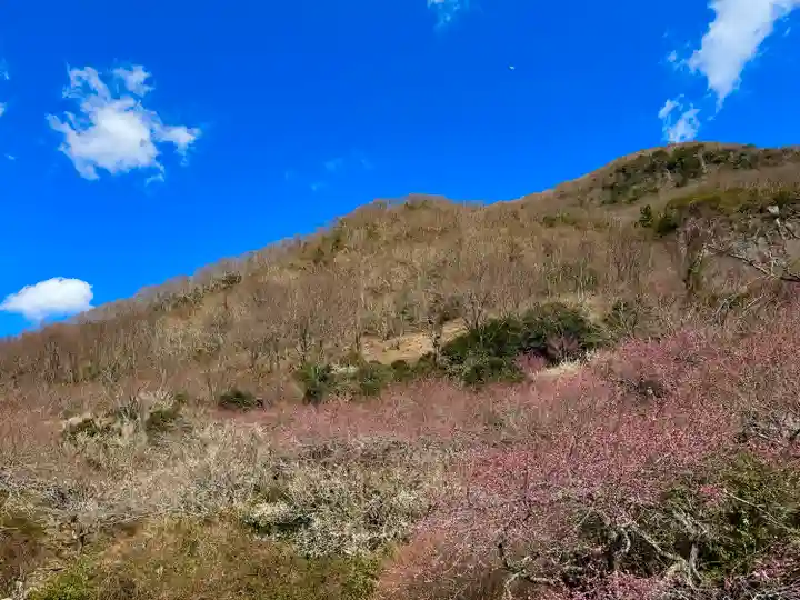 五所神社(神奈川県)