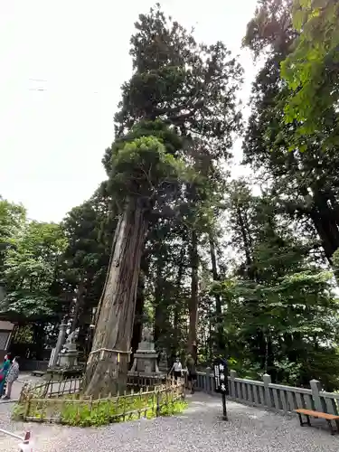 戸隠神社中社(長野県)