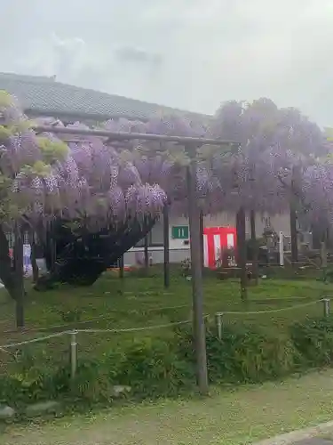 竹鼻別院(岐阜県)