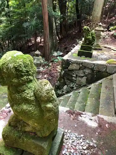 椎村神社の狛犬