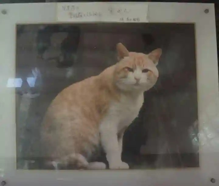 笠置寺(京都府)