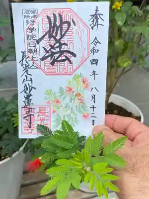 妙蓮寺(神奈川県)