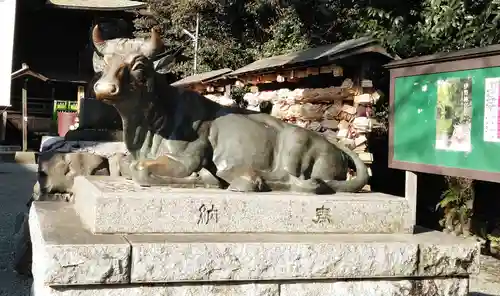 谷保天満宮の狛犬