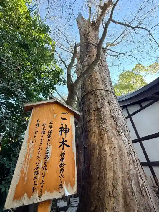川越氷川神社(埼玉県)