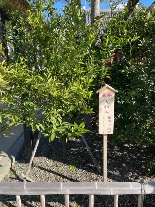 八剱八幡神社(千葉県)