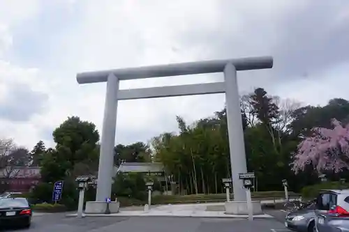 櫻木神社の鳥居