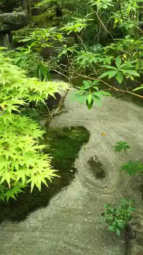 宝泉院の庭園