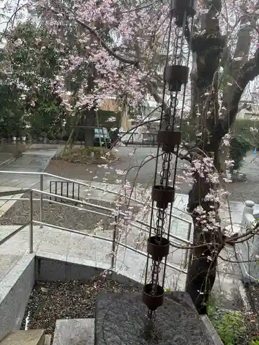 法蓮寺(東京都)