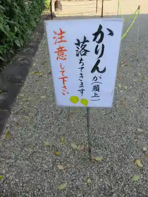 元興寺のその他建物