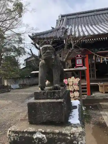 龍ケ崎八坂神社の狛犬