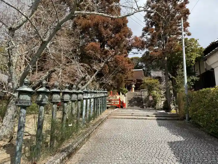 長弓寺の{uncategorized: "未分類", other: "その他", undefined: "問題あり", building: "その他建物", grave: "お墓", sacred_gate: "鳥居", guardian: "狛犬", statue: "像", buddha: "仏像", history: "歴史", nature: "自然", garden: "庭園", animal: "動物", pagoda: "塔", temizu: "手水舎", mountain_gate: "山門・神門", sanctuary: "本殿・本堂", subordinate: "末社・摂社", art: "芸術", scenery: "景色", jizo: "地蔵", ema: "絵馬", goshuin: "御朱印", omikuji: "おみくじ", items: "授与品その他", amulet: "お守り", goshuincho: "御朱印帳", eats: "食事", festival: "お祭り", votive_dance: "神楽", shichigosan: "七五三参", wedding: "結婚式", experience: "体験その他", initially: "初詣", around: "周辺", anti_infection: "感染症対策"}