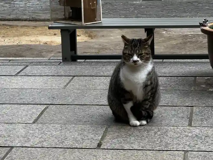 王子神社(徳島県)