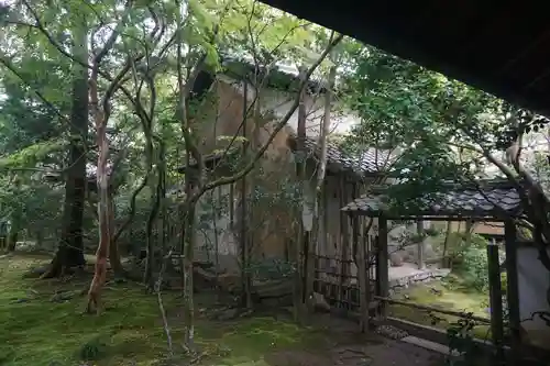 蓮華寺（洛北蓮華寺）(京都府)