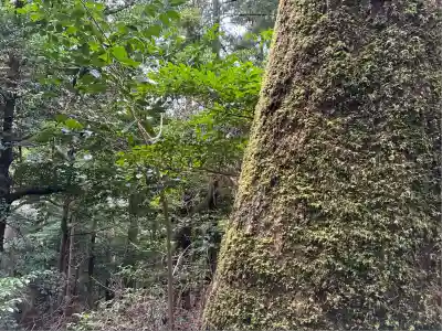 鞍馬寺奥の院 魔王殿(京都府)